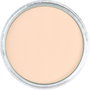 Panpastel 740.8 Tierra De Siena Tostada