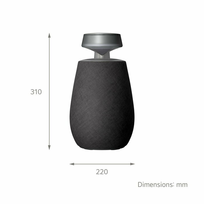 Altavoz Bluetooth Portátil LG XG2TBK Negro 5 W