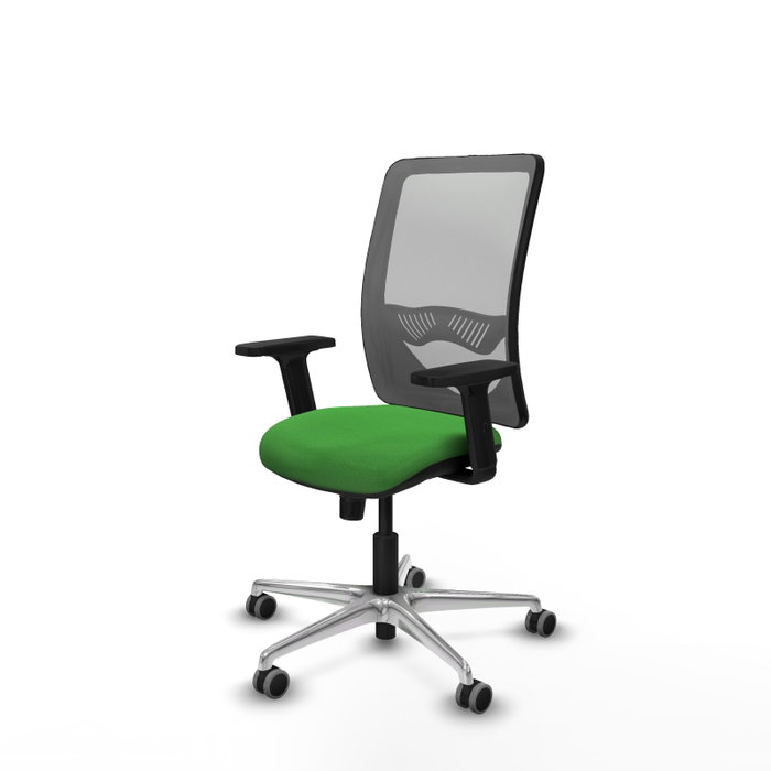 PIQUERAS Y CRESPO Silla de oficina Zulema con mecanismo Sincro, Verde y Gris PIQUERAS Y CRESPO Silla de oficina Zulema con mecanismo Sincro, Verde y Gris