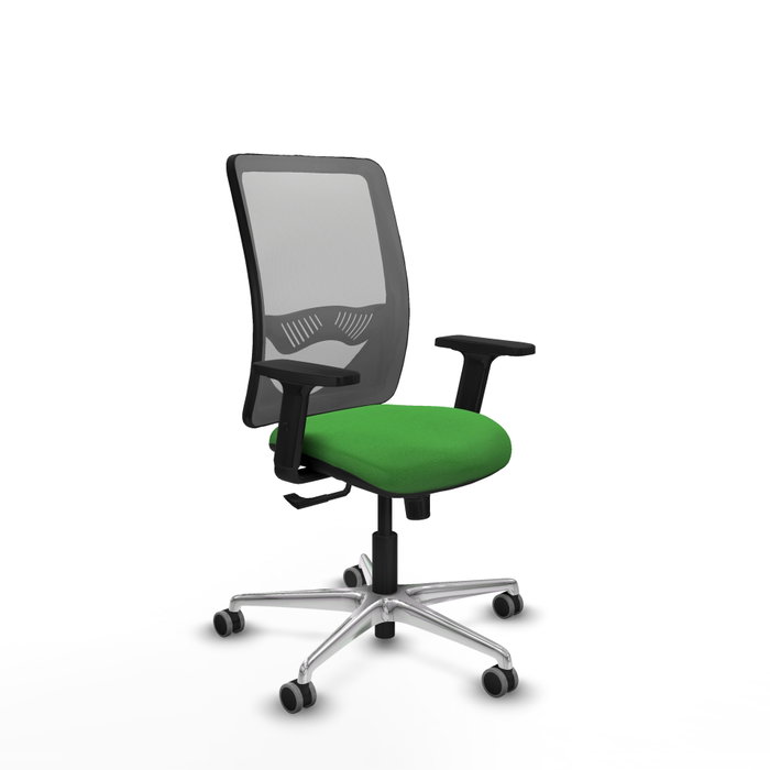 PIQUERAS Y CRESPO Silla de oficina Zulema con mecanismo Sincro, Verde y Gris PIQUERAS Y CRESPO Silla de oficina Zulema con mecanismo Sincro, Verde y Gris
