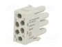 HARTING Han-Modular® Módulo Hembra HDC 6 PIN