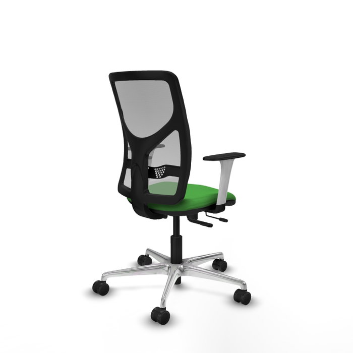 PIQUERAS Y CRESPO Silla de oficina Motilla con mecanismo Sincro/Traslack Verde y Gris PIQUERAS Y CRESPO Silla de oficina Motilla con mecanismo Sincro/Traslack Verde y Gris