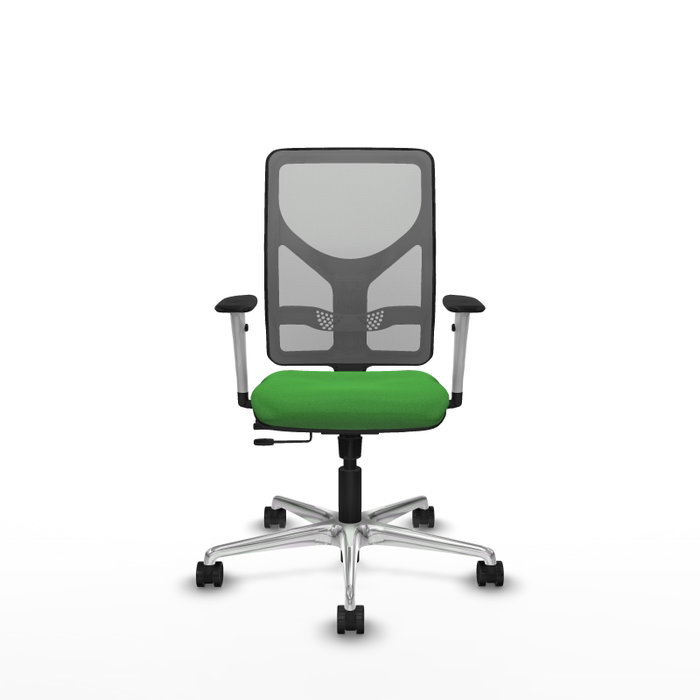 PIQUERAS Y CRESPO Silla de oficina Motilla con mecanismo Sincro/Traslack Verde y Gris PIQUERAS Y CRESPO Silla de oficina Motilla con mecanismo Sincro/Traslack Verde y Gris