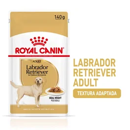 Royal Canin Labrador Adulto Caja 10x140g