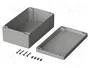 BOPLA EUROMAS Carcasa Universal Gris Claro IP66
