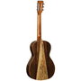 Guitarra Acústica Tanglewood Twjpe Parlour