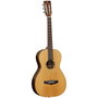 Guitarra Acústica Tanglewood Twjpe Parlour