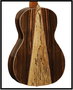 Guitarra Acústica Tanglewood Twjpe Parlour