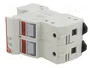 DF ELECTRIC Portafusibles PMX para Raíl DIN 50A 690VAC 2 Polos