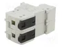 DF ELECTRIC Portafusibles PMX para Raíl DIN 50A 690VAC 2 Polos