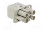 ILME CQF 04/2 Plantilla de Contacto Hembra HDC 4 Pines 40A 600V