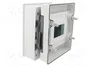 ELEKTRO-PLAST NASIELSK EP-LUX PLUS Carcasa para Aparatos Modulares Gris Claro