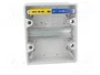 ELEKTRO-PLAST NASIELSK EP-LUX PLUS Carcasa para Aparatos Modulares Gris Claro
