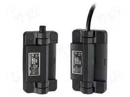 ELESA+GANTER CFSW Interruptor de seguridad de bisagra NC x2 + NA x2