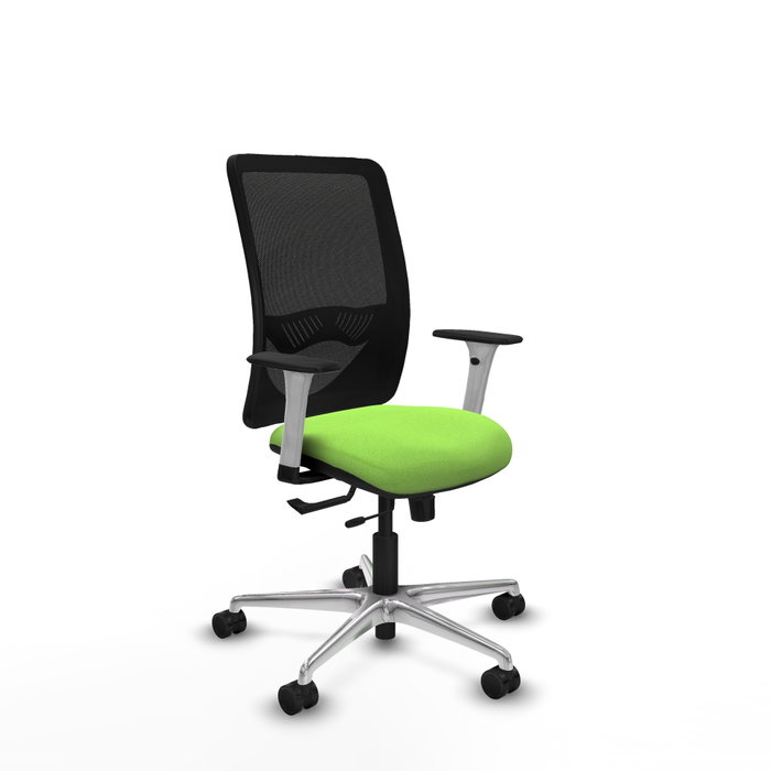 PIQUERAS Y CRESPO Silla de oficina Zulema con mecanismo Sincro/Traslack, color Pistacho y Negro PIQUERAS Y CRESPO Silla de oficina Zulema con mecanismo Sincro/Traslack, color Pistacho y Negro