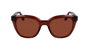 Ferragamo SF2000S-5221232 Gafas de sol para mujer marrón