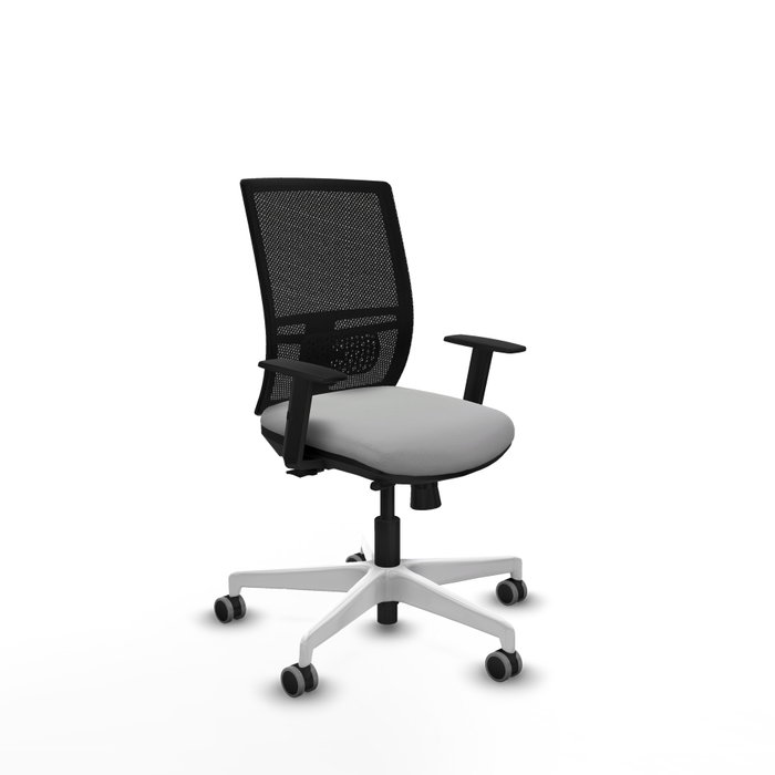 PIQUERAS Y CRESPO Silla de oficina Yunquera con mecanismo Sincro/Traslack, Gris claro y Negro PIQUERAS Y CRESPO Silla de oficina Yunquera con mecanismo Sincro/Traslack, Gris claro y Negro