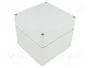 FIBOX EURONORD Carcasa Universal Gris