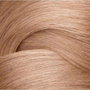 Redken Shades EQ ALK 10NB
