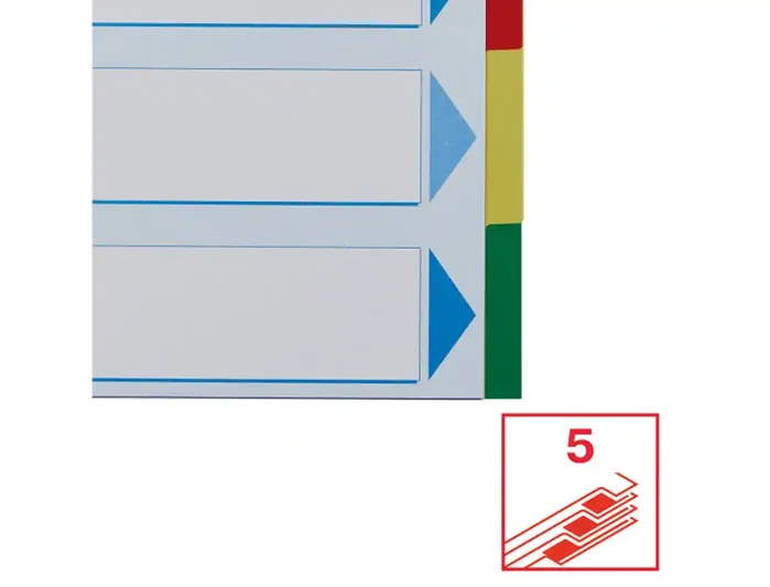 Esselte Separadores PP A4 5 pestañas 11 taladros