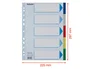 Esselte Separadores PP A4 5 pestañas 11 taladros