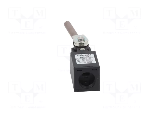 PIZZATO ELETTRICA Interruptor de fin de carrera FR NO + NC 10A IP67
