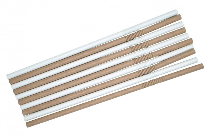 FACKELMANN Pajitas Flexibles de Papel 6x240mm, 40 Unidades