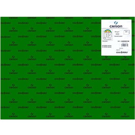 Iris Cartulina 50x65 cm 185 gr Verde Safari -25U-