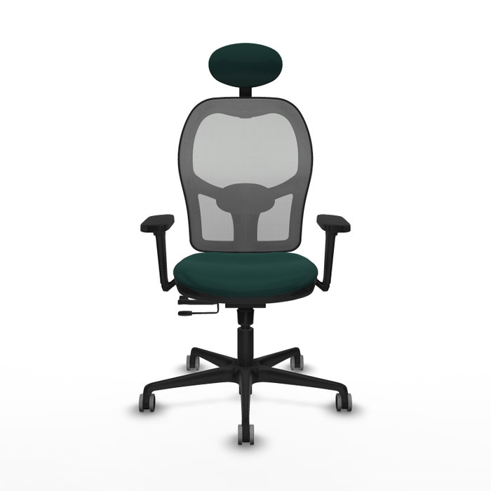 PIQUERAS Y CRESPO Silla de oficina Jorquera con mecanismo Sincro/Traslack, Verde botella y Gris PIQUERAS Y CRESPO Silla de oficina Jorquera con mecanismo Sincro/Traslack, Verde botella y Gris