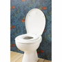 Gelco Bambino Asiento de inodoro blanco para adultos y niños