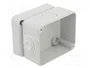 GEWISS 27 COMBI Carcasa para aparatos modulares Gris