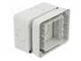 GEWISS 27 COMBI Carcasa para aparatos modulares Gris