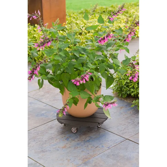 Nature Soporte para Macetas con Ruedas NAT8711338702444 WPC 8.6 x 38 cm Antracita 4 Ruedas Nature Soporte para Macetas con Ruedas NAT8711338702444 WPC 8.6 x 38 cm Antracita 4 Ruedas