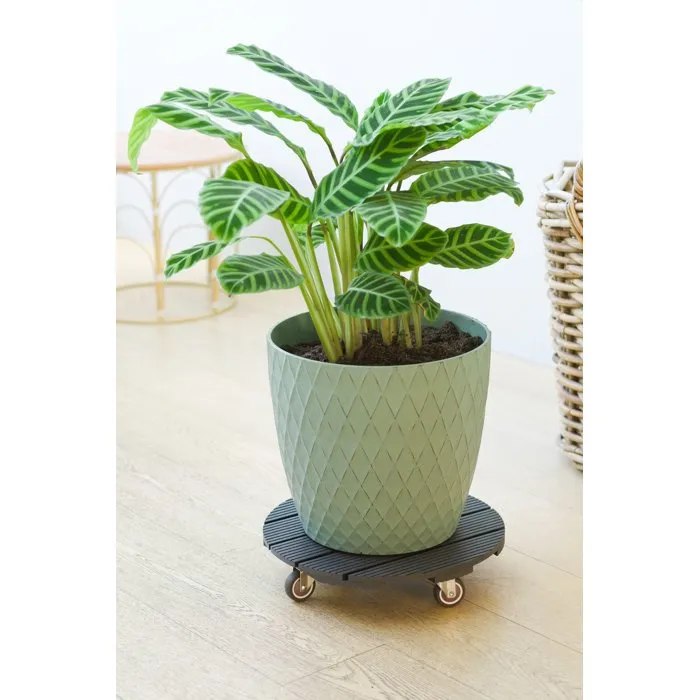 Nature Soporte para Macetas con Ruedas NAT8711338702444 WPC 8.6 x 38 cm Antracita 4 Ruedas Nature Soporte para Macetas con Ruedas NAT8711338702444 WPC 8.6 x 38 cm Antracita 4 Ruedas