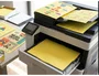 Liderpapel Papel de color Din A3 Amarillo intenso 80 g