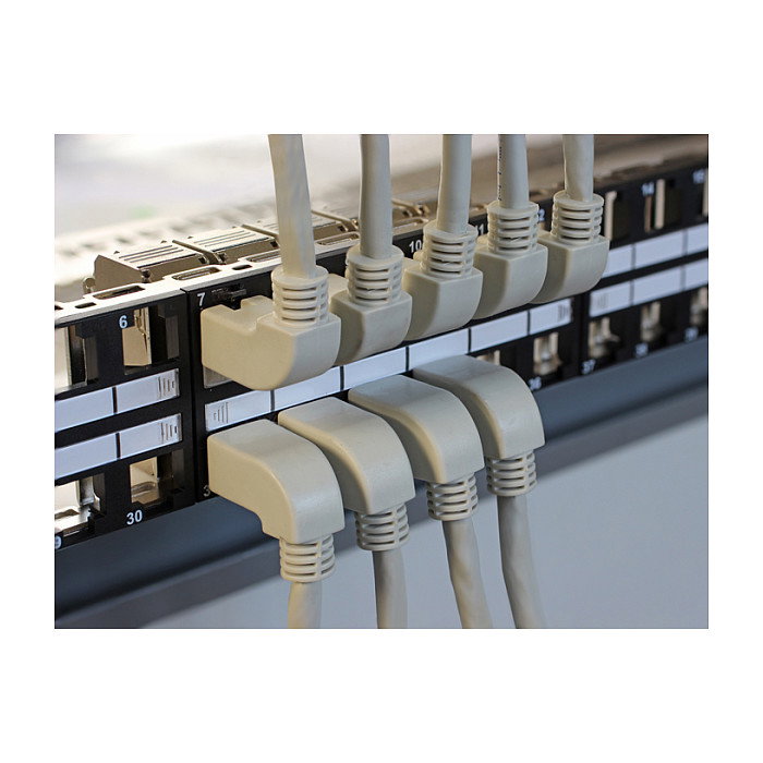 DeLOCK Cable de red RJ45 Cat.6A S/FTP 0,5 m gris
