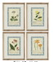 DKD Home Decor Cuadro Cristal MDF Botánico Surtido de 4 Unidades 40x2,5x50 cm