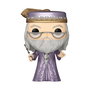 Funko Caja Coleccionable Funko Pop & Camiseta Dumbledore Harry Potter 76922 - Figura y T-Shirt Talla S, Idioma: ES/EN/FR