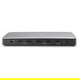Digitus Estación de Acoplamiento USB-C 13 Puertos, 3xHDMI, 2xDisplayPort, USB-A/C, RJ45 Ethernet Gigabit, Salida Audio, 4K 60Hz, 10Gbps, Plug and Play, Color Negro/Gris