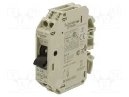 Schneider Electric Interruptor motorizado 250VAC 2A 1+N