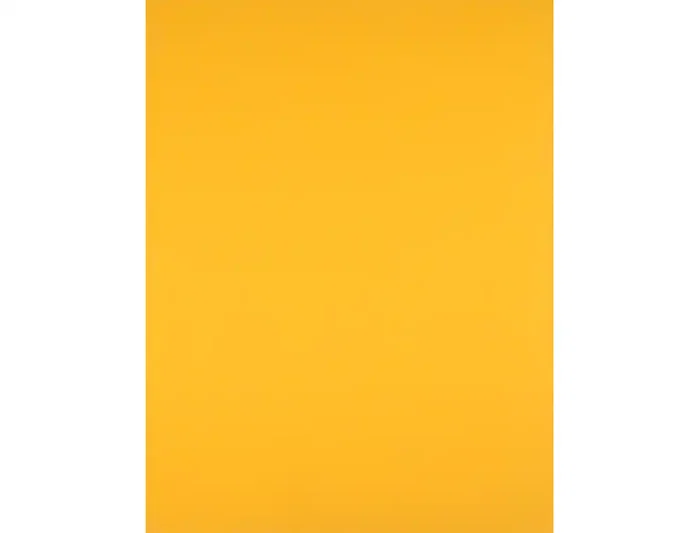 Liderpapel Cartulina Oro viejo 50x65 cm 240g/m2, 25 hojas Liderpapel Cartulina Oro viejo 50x65 cm 240g/m2, 25 hojas