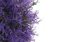 DKD Home Decor Bola de Decoración PE 20x20x20 UV Verde y Lila