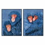 DKD Home Decor Cuadro de Monos Enmarcado Surtido de 2 Piezas 90x120 cm