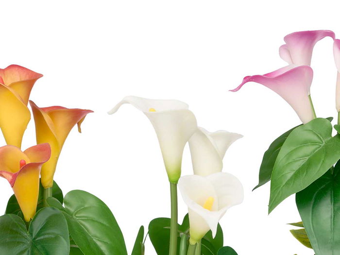 Ibergarden Maceta Cónica Gladiolos Surtidos Plástico Cemento 20 cm x 35 cm x 15 cm Amarillo Morado Rojo (Set de 12)