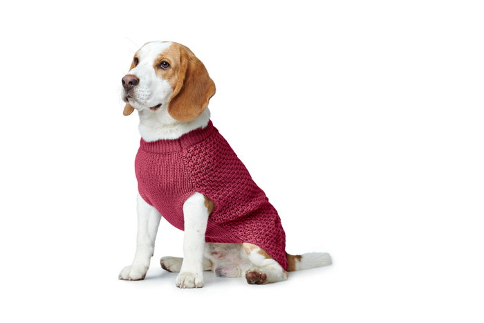 Hunter Dog Pullover Malmö 35cm Burdeos Hunter Dog Pullover Malmö 35cm Burdeos