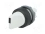 ABB Interruptor Rotativo M2S 22mm Gris
