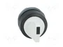 ABB Interruptor Rotativo M2S 22mm Gris