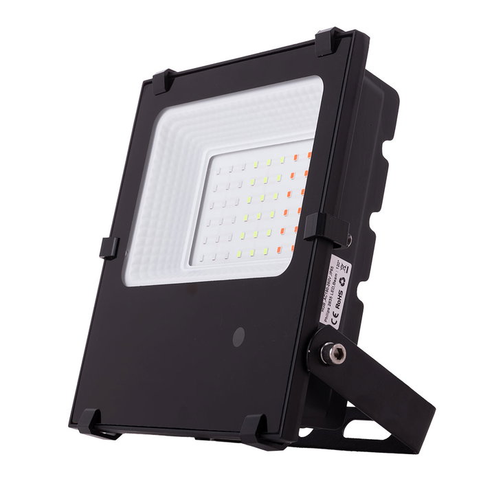 Proyector LED 30W RGB con Mando a Distancia IP65