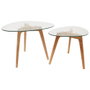 Home Deco Factory - Juego de 2 Mesas Nido de Cristal Templado con Patas de Caucho, Forma Irregular, Mesa Grande 60x45 cm y Pequeña 50x38 cm