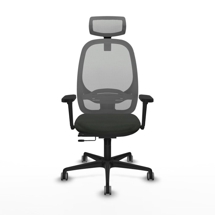 PIQUERAS Y CRESPO Silla de oficina Cilanco con mecanismo Sincro/Traslack, Negro y Gris PIQUERAS Y CRESPO Silla de oficina Cilanco con mecanismo Sincro/Traslack, Negro y Gris